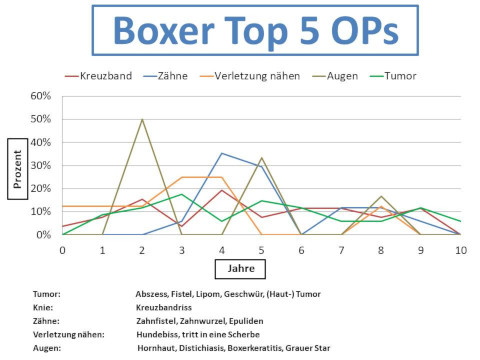 Boxer Krankheiten und Tierarztkosten im Altersdiagramm
