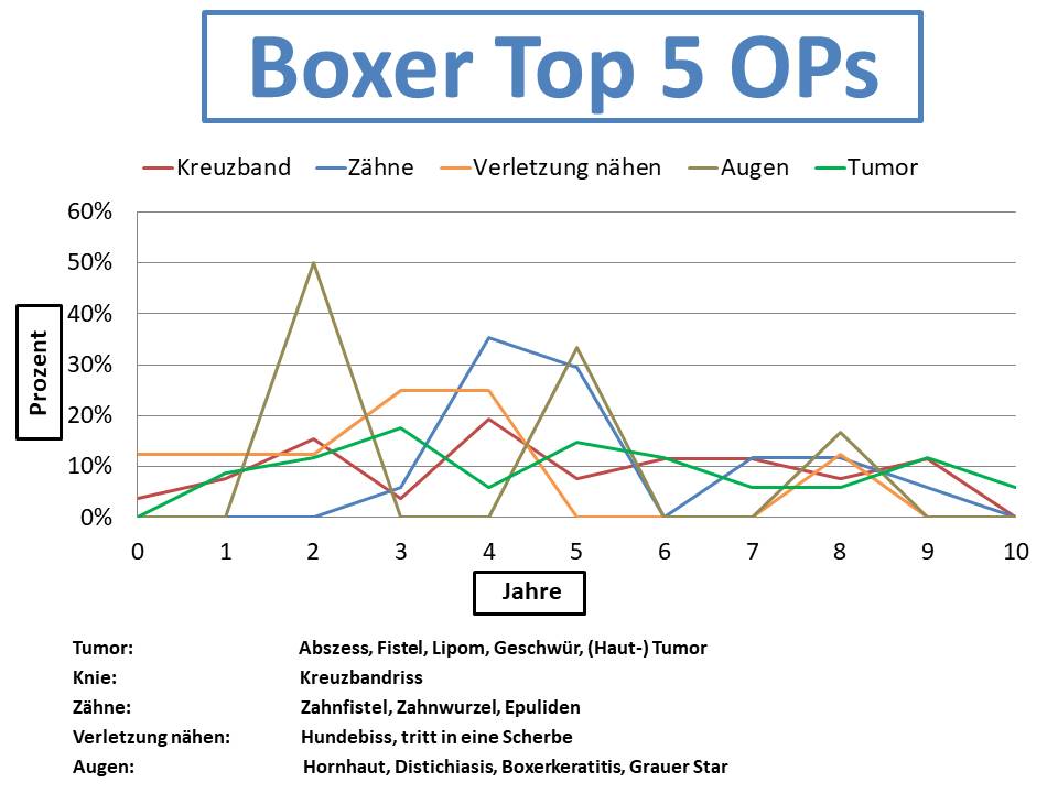 Boxer Krankheiten und Tierarztkosten im Altersdiagramm