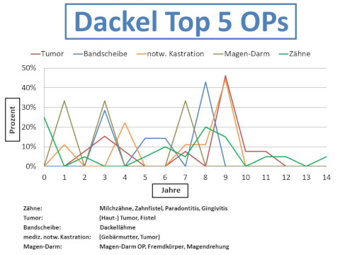 Dackel Krankheiten und Tierarztkosten im Altersdiagramm