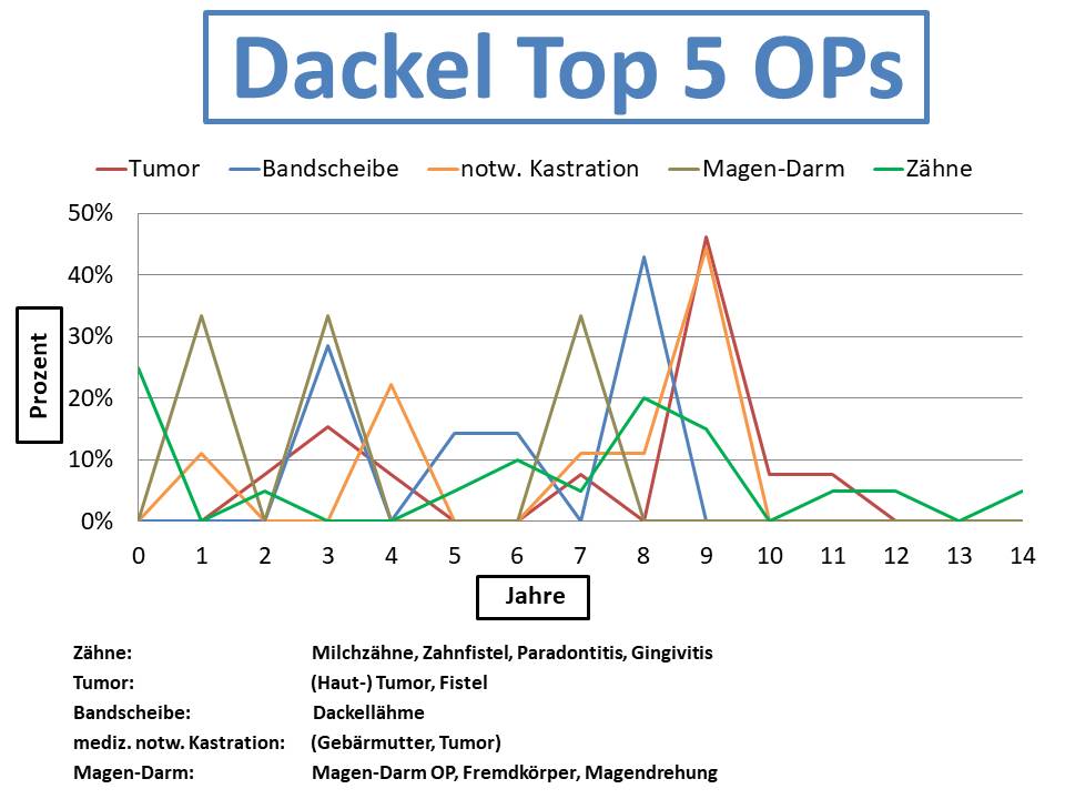 Dackel Krankheiten und Tierarztkosten im Altersdiagramm