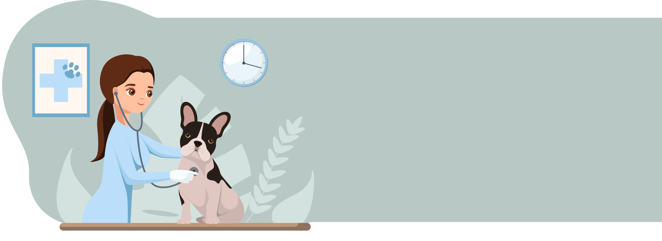 Französische Bulldogge Hundeversicherung Tipp