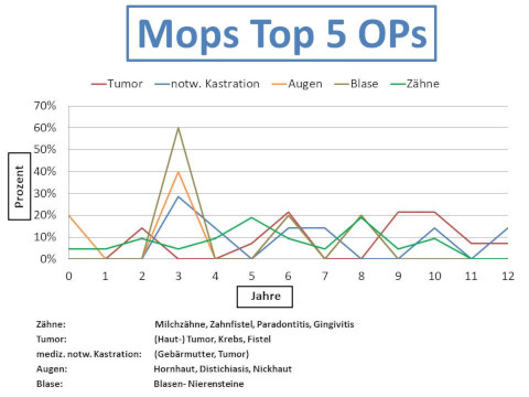 Mops Krankheiten und Tierarztkosten im Altersdiagramm