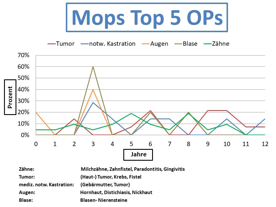 Mops Krankheiten und Tierarztkosten im Altersdiagramm