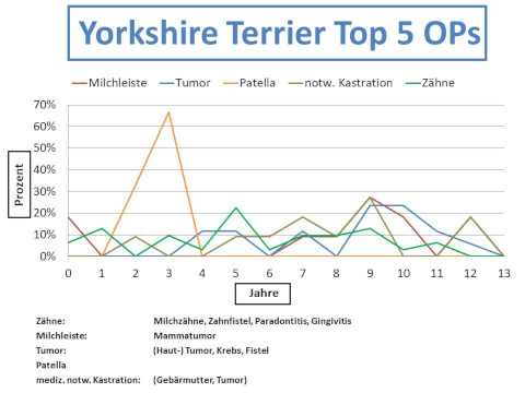 Yorkshire-Terrier Krankheiten und Tierarztkosten im Altersdiagramm