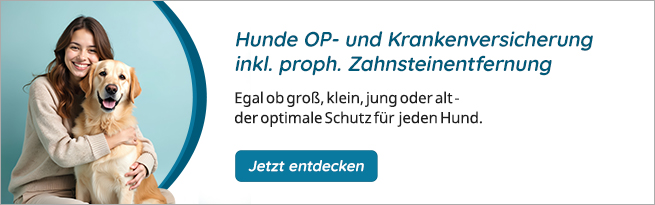 Hundeopversicherung Versicherungsempfehlung OP- und Krankenversicherung mit Zahnsteinentfernung